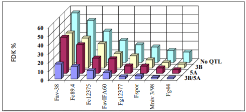 Figure 2. Resistance protection of QTLs 3BS and 5AS against eight isolates of Fusarium on the CM82036/Remus population in wheat, Szeged-Tulln, 2002–2003. Fav: F. avenaceum, Fc: F. culmorum, Fg: F. graminearum, Fspor: F. sporotrichioides, Mniv: Microdochium nivale [8]. The numbers after species designation are the isolate names.