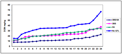Figure 3. DON content (mg/kg) in the CM82036/Remus population across years, locations, and F. graminearum and F. culmorum isolates, 2002–2003. LSD 5% for genotypes 3.37, for QTL groups 2.16 [8,104].