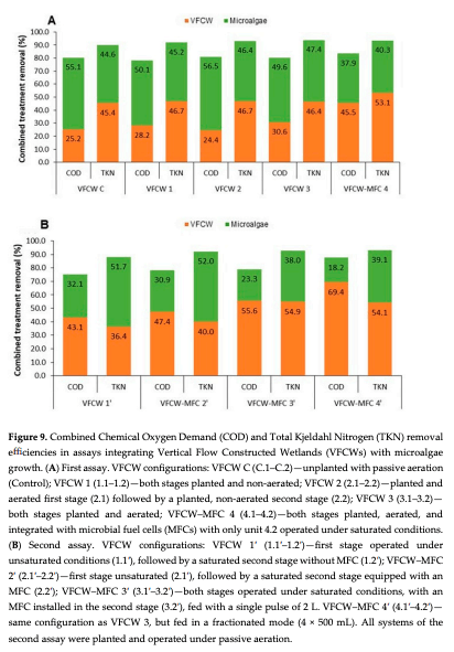 Figure 9. Combined Chemical Oxygen Demand (COD) and Total Kjeldahl Nitrogen (TKN) removal efficiencies in assays integrating Vertical Flow Constructed Wetlands (VFCWs) with microalgae growth. (A) First assay. VFCW configurations: VFCW C (C.1–C.2)—unplanted with passive aeration (Control); VFCW 1 (1.1–1.2)—both stages planted and non-aerated; VFCW 2 (2.1–2.2)—planted and aerated first stage (2.1) followed by a planted, non-aerated second stage (2.2); VFCW 3 (3.1–3.2)— both stages planted and aerated; VFCW–MFC 4 (4.1–4.2)—both stages planted, aerated, and integrated with microbial fuel cells (MFCs) with only unit 4.2 operated under saturated conditions. (B) Second assay. VFCW configurations: VFCW 1′ (1.1′–1.2′)—first stage operated under unsaturated conditions (1.1′), followed by a saturated second stage without MFC (1.2′); VFCW–MFC 2′ (2.1′–2.2′)—first stage unsaturated (2.1′), followed by a saturated second stage equipped with an MFC (2.2′); VFCW–MFC 3′ (3.1′–3.2′)—both stages operated under saturated conditions, with an MFC installed in the second stage (3.2′), fed with a single pulse of 2 L. VFCW–MFC 4′ (4.1′–4.2′)— same configuration as VFCW 3, but fed in a fractionated mode (4 × 500 mL). All systems of the second assay were planted and operated under passive aeration. 