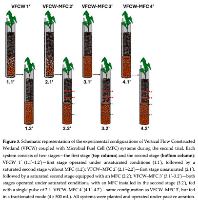 Figure 3. Schematic representation of the experimental configurations of Vertical Flow Constructed Wetland (VFCW) coupled with Microbial Fuel Cell (MFC) systems during the second trial. Each system consists of two stages—the first stage (top column) and the second stage (bottom column): VFCW 1′ (1.1′–1.2′)—first stage operated under unsaturated conditions (1.1′), followed by a saturated second stage without MFC (1.2′); VFCW–MFC 2′ (2.1′–2.2′)—first stage unsaturated (2.1′), followed by a saturated second stage equipped with an MFC (2.2′); VFCW–MFC 3′ (3.1′–3.2′)—both stages operated under saturated conditions, with an MFC installed in the second stage (3.2′), fed with a single pulse of 2 L. VFCW–MFC 4′ (4.1′–4.2′)—same configuration as VFCW–MFC 3′, but fed in a fractionated mode (4 × 500 mL). All systems were planted and operated under passive aeration. 