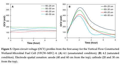 Figure 5. Open-circuit voltage (OCV) profiles from the first assay for the Vertical Flow Constructed Wetland-Microbial Fuel Cell (VFCW–MFC) 4: (A) 4.1 (unsaturated condition); (B) 4.2 (saturated condition). Electrode spatial zonation: anode (40 and 60 cm from the top); cathode (20 and 30 cm from the top). 