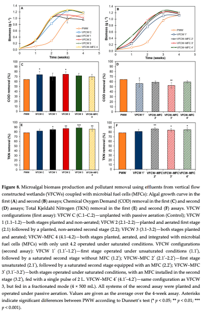 Figure 8. Microalgal biomass production and pollutant removal using effluents from vertical flow constructed wetlands (VFCWs) coupled with microbial fuel cells (MFCs): Algal growth curve in the first (A) and second (B) assays; Chemical Oxygen Demand (COD) removal in the first (C) and second (D) assays; Total Kjeldahl Nitrogen (TKN) removal in the first (E) and second (F) assays. VFCW configurations (first assay): VFCW C (C.1–C.2)—unplanted with passive aeration (Control); VFCW 1 (1.1–1.2)—both stages planted and non-aerated; VFCW 2 (2.1–2.2)—planted and aerated first stage (2.1) followed by a planted, non-aerated second stage (2.2); VFCW 3 (3.1–3.2)—both stages planted and aerated; VFCW–MFC 4 (4.1–4.2)—both stages planted, aerated, and integrated with microbial fuel cells (MFCs) with only unit 4.2 operated under saturated conditions. VFCW configurations (second assay): VFCW 1′ (1.1′–1.2′)—first stage operated under unsaturated conditions (1.1′), followed by a saturated second stage without MFC (1.2′); VFCW–MFC 2′ (2.1′–2.2′)—first stage unsaturated (2.1′), followed by a saturated second stage equipped with an MFC (2.2′); VFCW–MFC 3′ (3.1′–3.2′)—both stages operated under saturated conditions, with an MFC installed in the second stage (3.2′), fed with a single pulse of 2 L. VFCW–MFC 4′ (4.1′–4.2′)—same configuration as VFCW 3, but fed in a fractionated mode (4 × 500 mL). All systems of the second assay were planted and operated under passive aeration. Values are given as the average over the 4-week assay. Asterisks indicate significant differences between PWW according to Dunnett’s test (* p < 0.05; ** p < 0.01; *** p < 0.001). 
