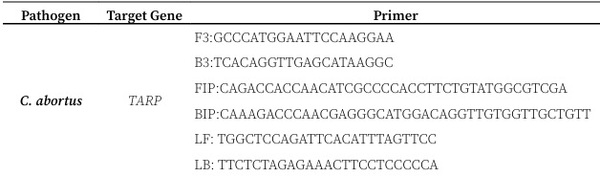 A novel colorimetric LAMP test enables rapid visual detection of Chlamydia abortus in domestic ruminants - Image 1