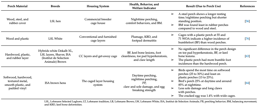 Effects of Perching on Poultry Welfare and Production: A Review - Image 11