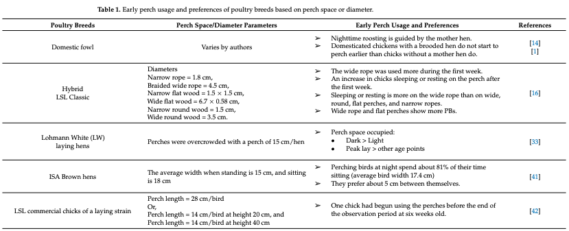Effects of Perching on Poultry Welfare and Production: A Review - Image 1