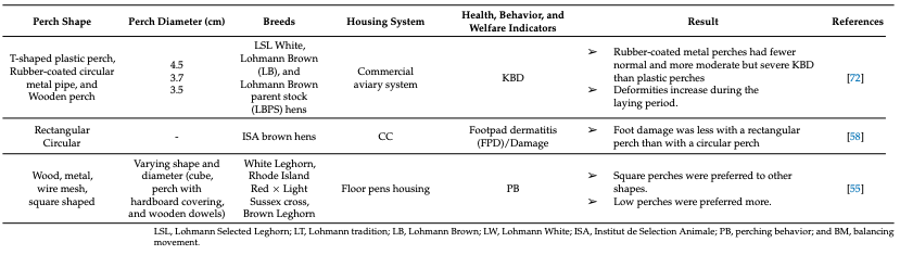 Effects of Perching on Poultry Welfare and Production: A Review - Image 7