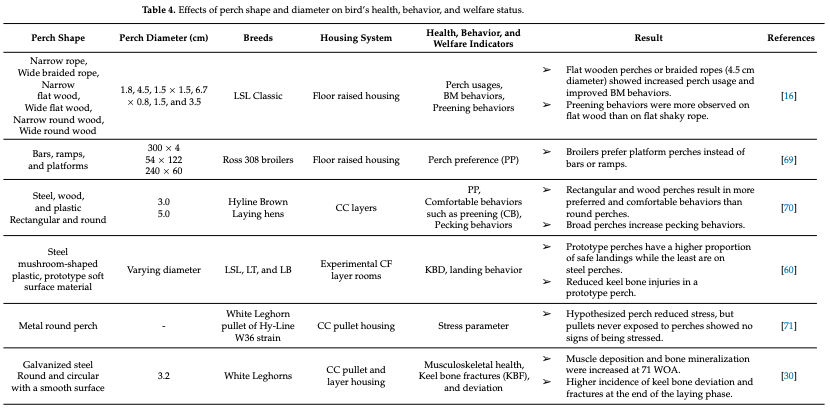 Effects of Perching on Poultry Welfare and Production: A Review - Image 5