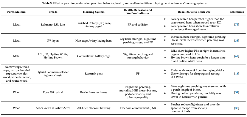 Effects of Perching on Poultry Welfare and Production: A Review - Image 9