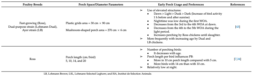Effects of Perching on Poultry Welfare and Production: A Review - Image 3