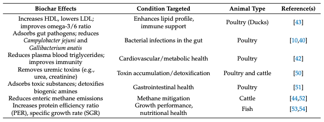 Natural Adsorbents as Therapeutic Candidates Against Necrotic Enteritis in Poultry: A Conceptual Review - Image 1