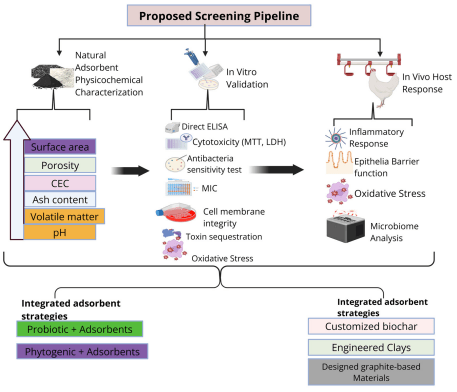 Figure 5. Proposed screening framework for evaluating natural adsorbents for NE control in poultry. The figure was created in BioRender.com (BioRender, Toronto, ON, Canada).