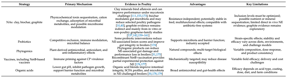 Natural Adsorbents as Therapeutic Candidates Against Necrotic Enteritis in Poultry: A Conceptual Review - Image 17