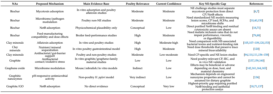 Natural Adsorbents as Therapeutic Candidates Against Necrotic Enteritis in Poultry: A Conceptual Review - Image 15
