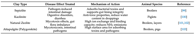 Natural Adsorbents as Therapeutic Candidates Against Necrotic Enteritis in Poultry: A Conceptual Review - Image 11