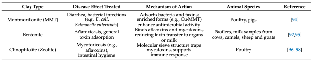 Natural Adsorbents as Therapeutic Candidates Against Necrotic Enteritis in Poultry: A Conceptual Review - Image 9