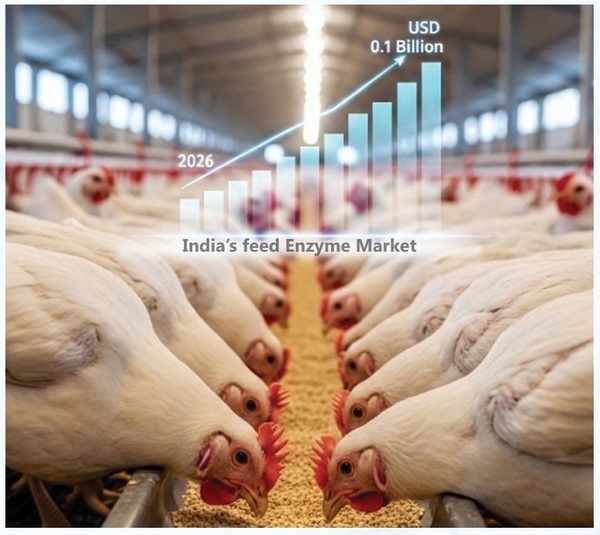 Asia Pacific sets the Pace in Global Feed Enz me Gr wth - Image 3