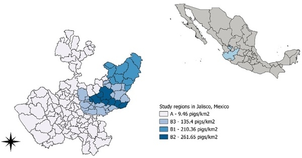 Molecular Positivity of Porcine Circovirus Type 2 Associated with Production Practices on Farms in Jalisco, Mexico - Image 5