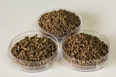 How Can Feed Formulations Be Optimized When Using Magicoh Binder? - Image 4