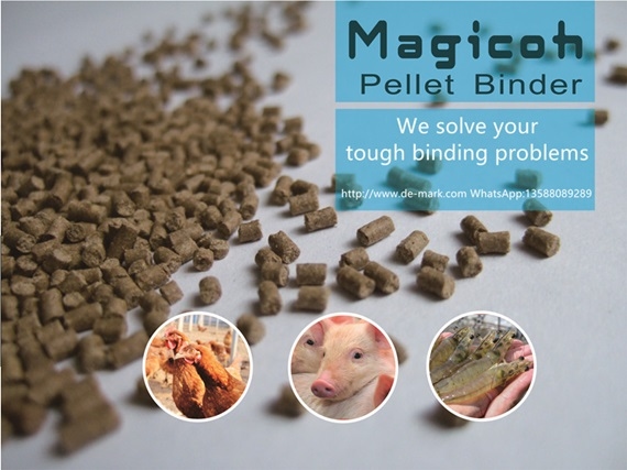 How Can Feed Formulations Be Optimized When Using Magicoh Binder? - Image 2