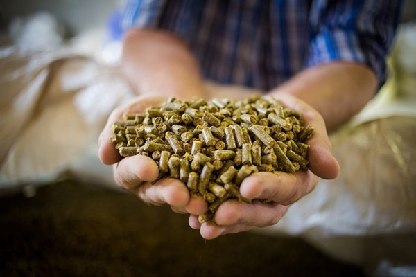 How Can Feed Formulations Be Optimized When Using Magicoh Binder? - Image 3