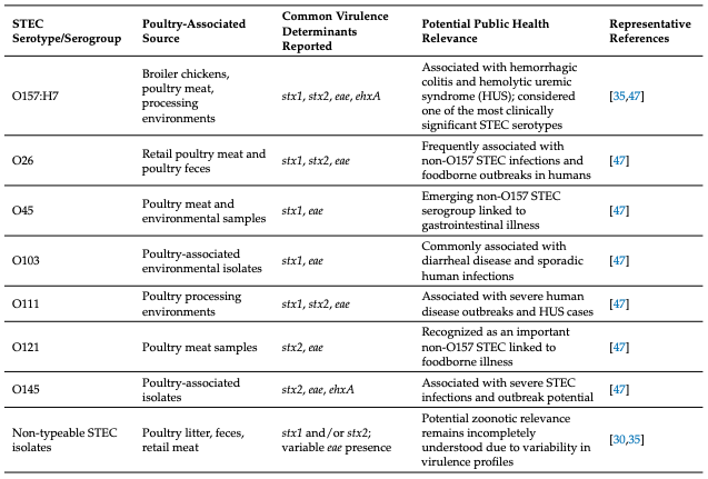 Shiga Toxin-Producing Escherichia coli in Poultry: Virulence, Antimicrobial Resistance, and Zoonotic Implications - Image 3