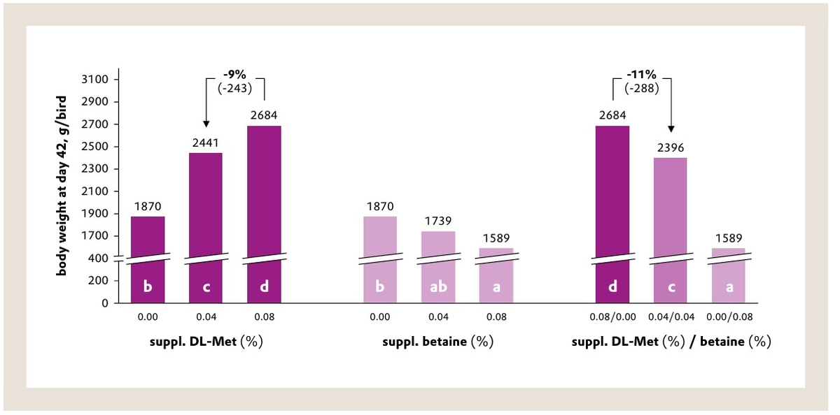 The science is clear: Betaine cannot replace methionine - Image 1