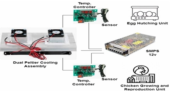 Solar Powered Thermoelectric Air Conditioning for Temperature Control in Poultry Incubators - Image 6