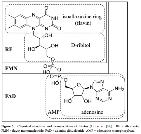 Figure 1. Chemical structure and nomenclature of flavins (Liu et al. [38]). RF = riboflavin; FMN = flavin mononucleotide; FAD = adenine dinucleotide; AMP = adenosine monophosphate.