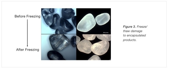 Understanding Encapsulation Technology: What Drives Nutrient Delivery and Bioavailability - Image 4