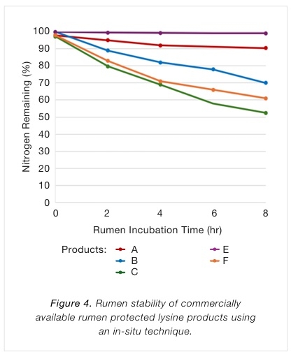 Understanding Encapsulation Technology: What Drives Nutrient Delivery and Bioavailability - Image 6
