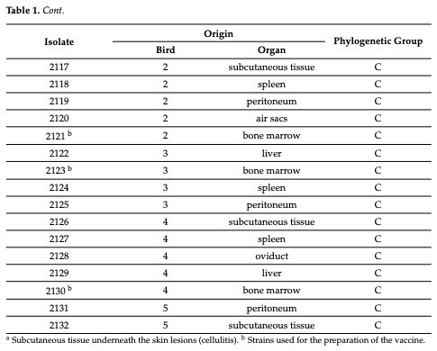 Table 1. Description of E. coli strains isolated from the daily mortalities.