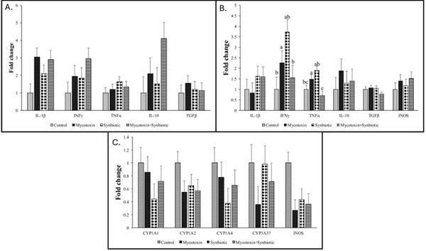 Effect of synbiotics on broilers exposed to subclinical doses of fumonisins and deoxynivalenol - Image 10