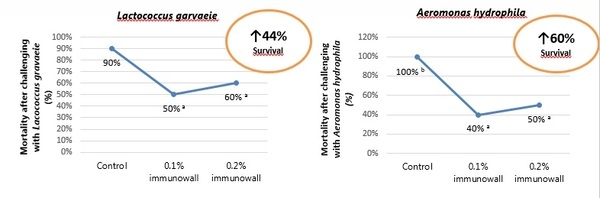 B-glucans: a natural solution to improving the immune status and survival of fish - Image 3
