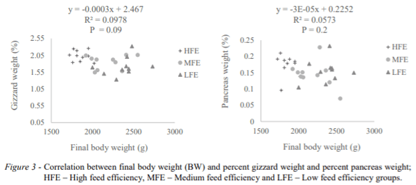 AUSTRALIA - ASSOCIATION OF FEED TO EGG EFFICIENCY WITH BODY WEIGHT AND DIGESTIVE ORGAN CHARACTERISTICS IN LAYING HENS - Image 4