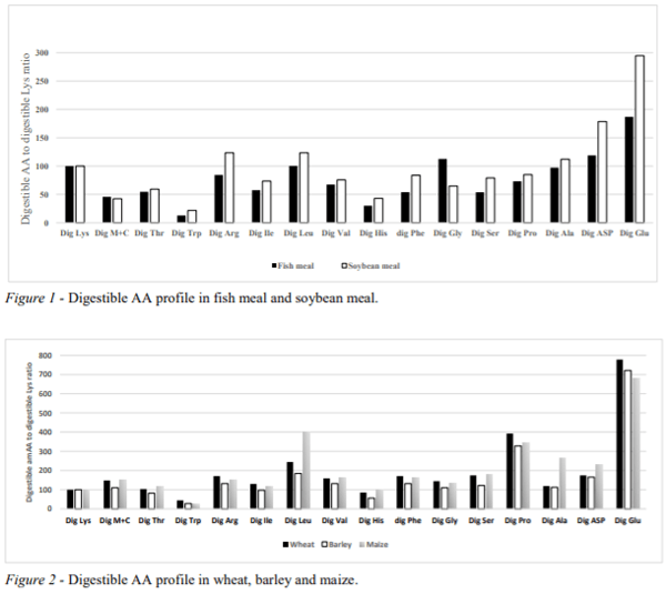 AUSTRALIA - IDEAL AMINO ACID PROFILE AND CHICKEN GUT DISTURBANCE: A REVIEW - Image 1