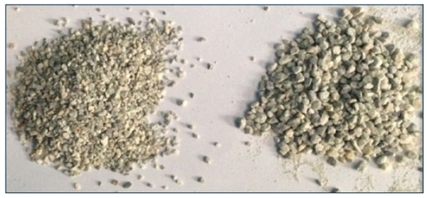 Feed preparation: Key areas of opportunity - Image 1