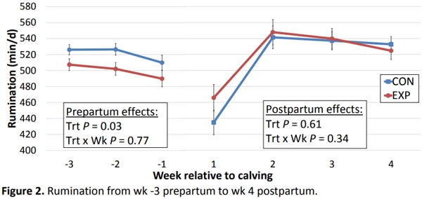 The effect of feeding zeolite A during the prepartum period on peripartum performance in multiparous Holstein Cows - Image 2