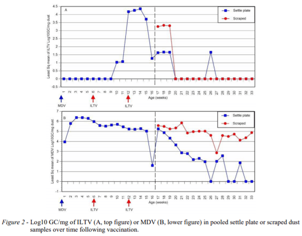 AUSTRALIA - TEMPORAL VARIATION OF ILTV AND MDV VIRAL GENOME IN DUST SAMPLES AFTER VACCINATION IN A LAYER FLOCK - Image 2
