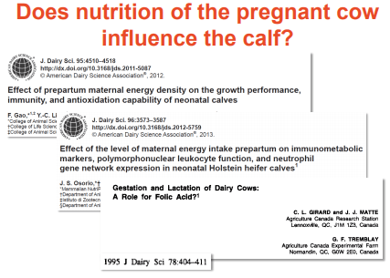 Additives: Use of Choline and Methionine in Dairy Cattle - Image 22