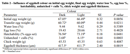 Table 2 - Influence of eggshell colour on initial egg weight, final egg weight, water loss %, egg loss %, hatchability, unhatched + culls %, chick weight and eggshell thickness.