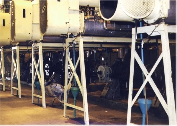 Expeller® pressing of wet processed corn germ - Image 1