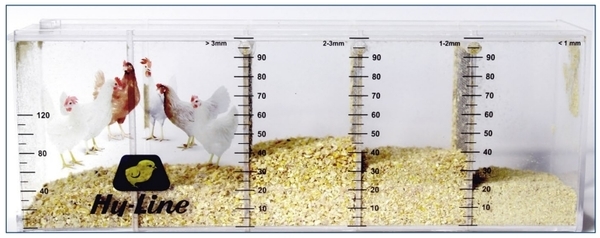 Feed preparation: Key areas of opportunity - Image 3
