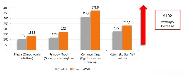 B-glucans: a natural solution to improving the immune status and survival of fish - Image 4