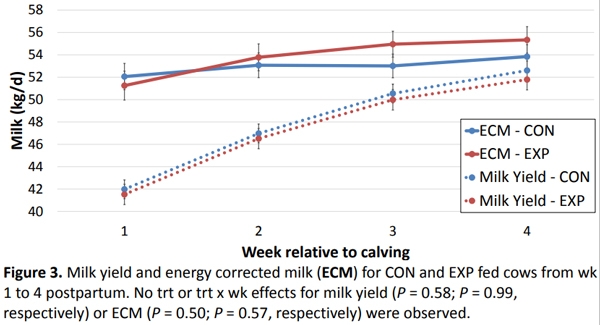 The effect of feeding zeolite A during the prepartum period on peripartum performance in multiparous Holstein Cows - Image 3
