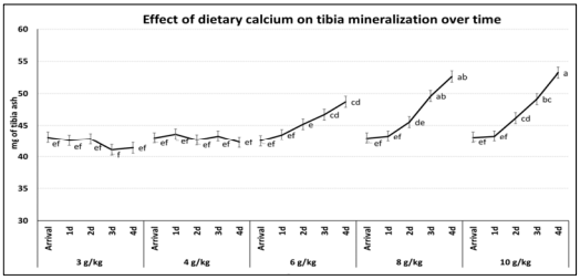 Figure 1 - Influence of dietary Ca on tibia ash (mg) deposition of broilers fed pre-starter diets from placement to 4 days of age. a-f Means between chart bars with unlike superscripts differ significantly at P 0.05. 