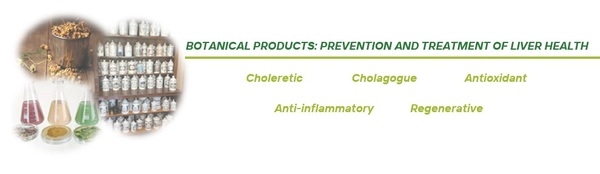 Effect of Nutrition on Hepatic Health - Image 9