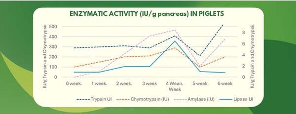 Effect of Nutrition on Hepatic Health - Image 1