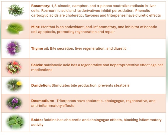 Effect of Nutrition on Hepatic Health - Image 11