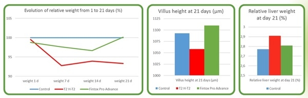 Effect of Nutrition on Hepatic Health - Image 3