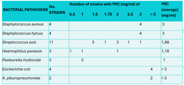 Essential oils as an antibiotic alternative in pigs - Image 5